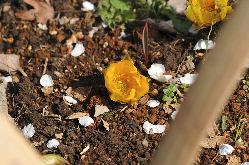 image0225