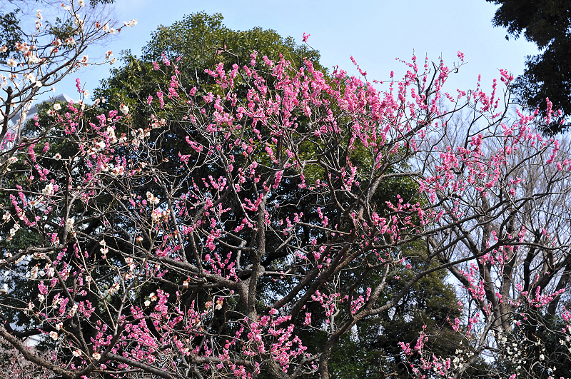 image0230
