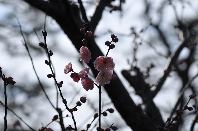 image0232