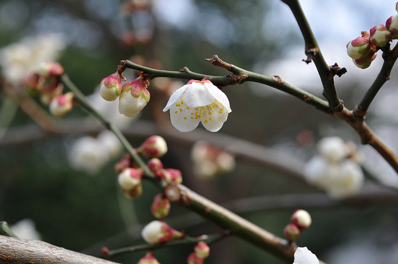 image0239