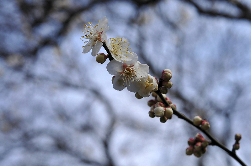 image0240