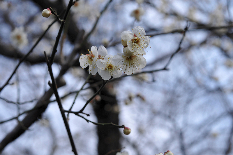 image0241