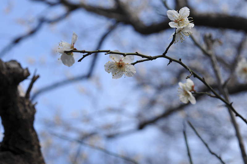 image0242