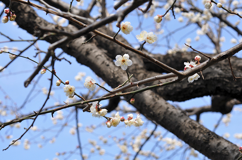 image0243