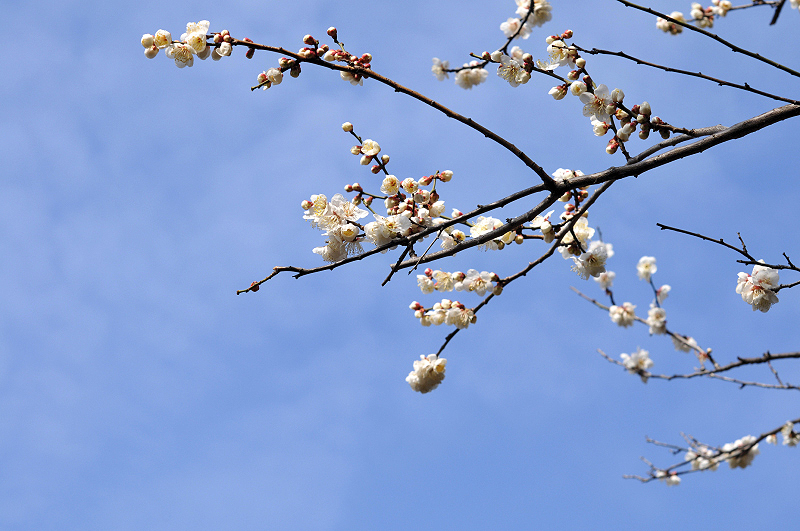 image0245