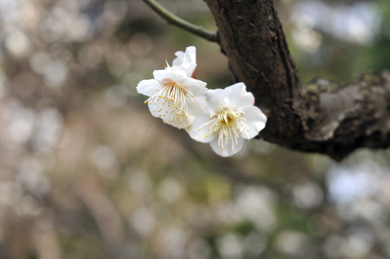 image0256