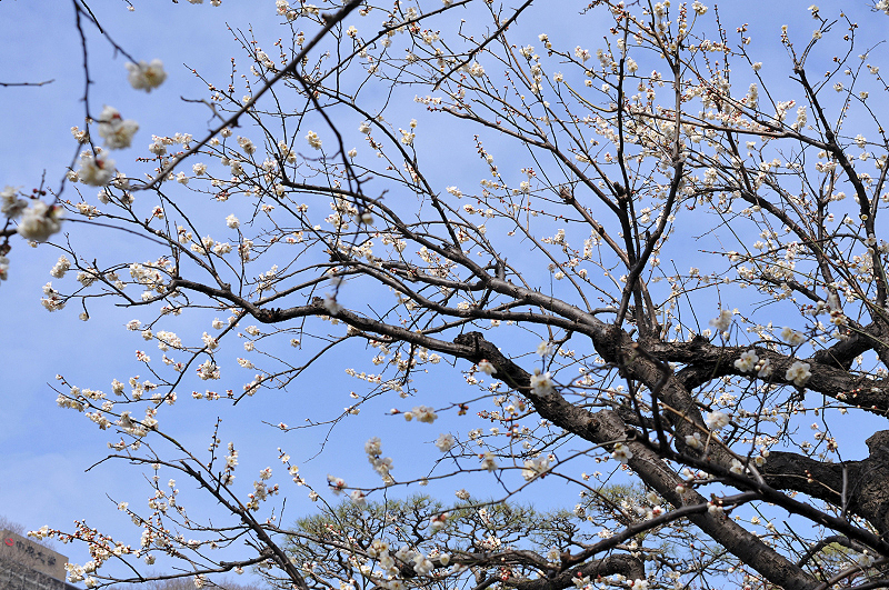 image0257