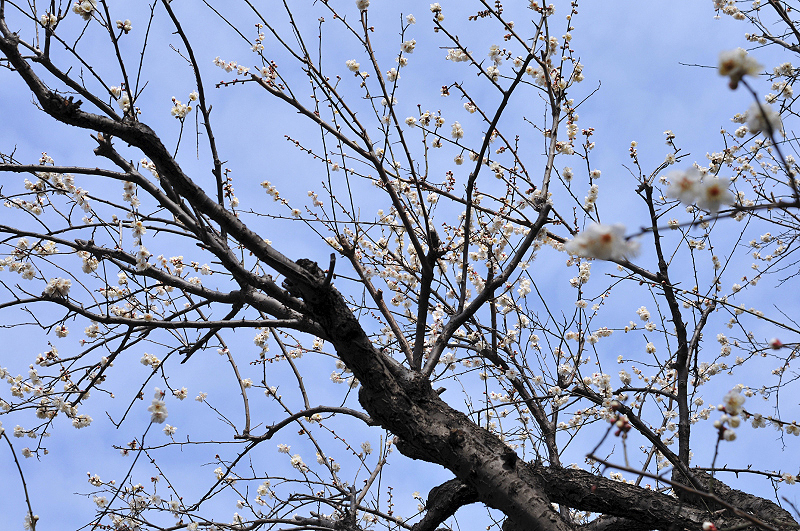 image0258