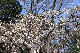image0130