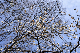 image0133