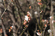 image0136