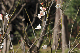 image0137