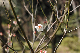 image0138