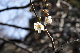 image0143