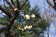 image0149