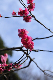 image0153