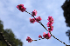 image0154