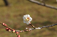 image0159
