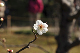 image0161