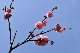 image0167