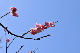 image0168