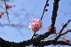 image0169