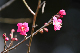 image0172