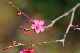 image0173