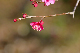 image0174