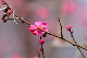 image0175