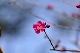 image0178