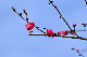 image0180