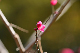 image0181