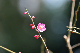 image0182
