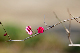 image0183