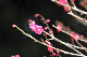 image0184