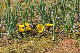 image0190