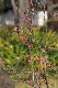 image0191
