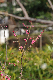 image0192