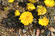 image0193