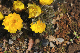 image0194