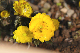image0195