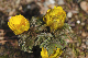 image0196