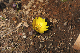 image0197