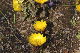 image0198