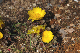 image0199