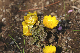 image0200