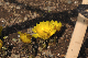 image0202