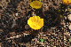 image0203