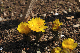 image0204
